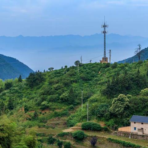 草原骏马的美篇