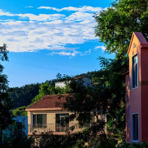 草原骏马的美篇