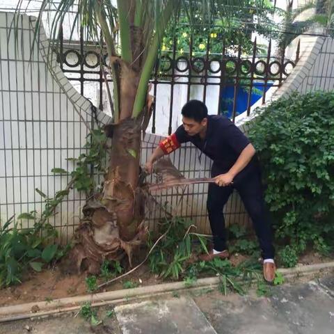 公司张运毅书记到9号车间宿舍区（公司大院）检查指导双创工作--行政综合部