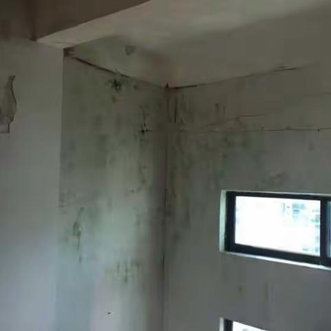 8月8日集团领导带领检查组到公司办公楼和9号车间宿舍检查指导双创工作--行政综合部