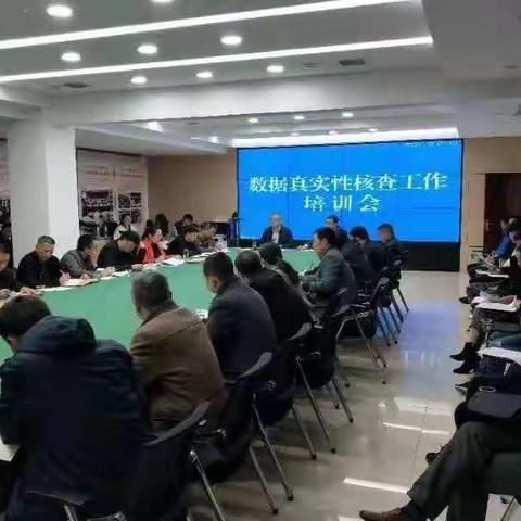 平利：精准“靶向”提升数据质量