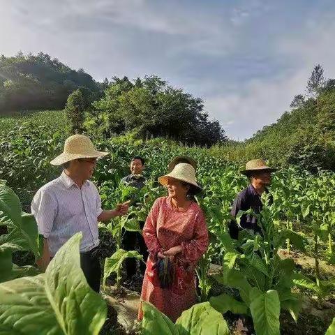 县委书记手记：漫漫扶贫路，真情映初心