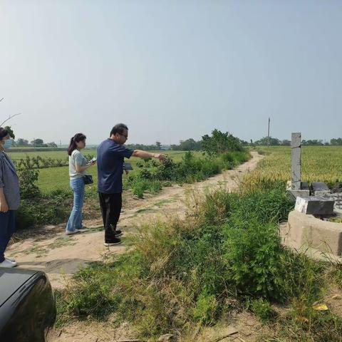 西段所开展夏季田野文物安全巡查