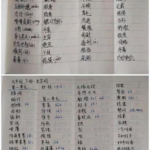 “展多元假期，秀笔墨风华”北清河学校九年级寒假文理作业评比活动总结