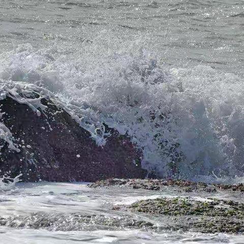 北戴河的海