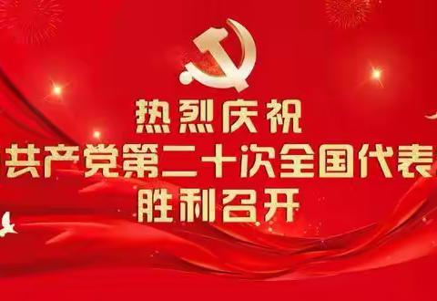 踔厉奋发 不负韶华 全面推进乡村振兴