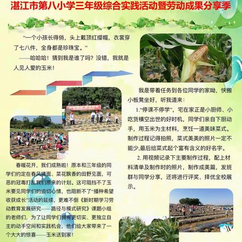 🌽我和玉米有个约会🌽