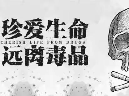 国际禁毒日———台阁牧中心校达尔架小学2023年国际禁毒日科普宣传书