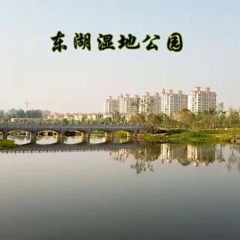 美丽的东湖公园
