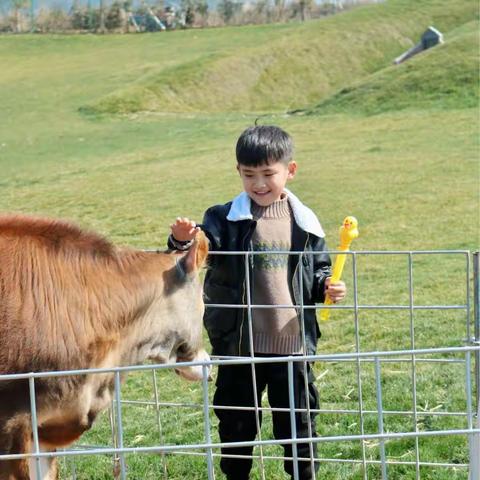 董浩--过年假期的游玩