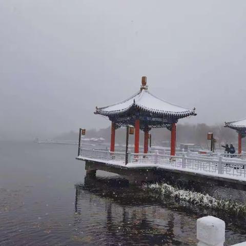 雪日静坐