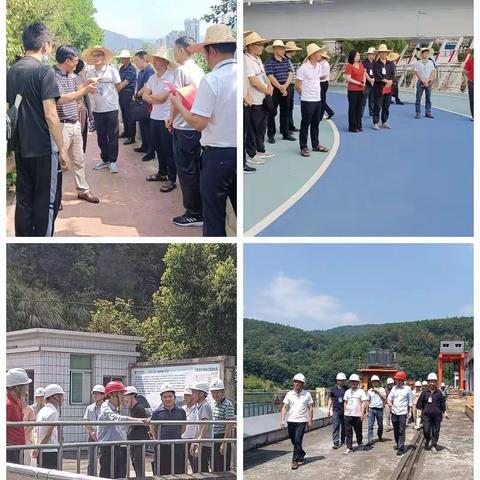 沙县区、三元区组织政协委员河长开展县际联合巡河活动