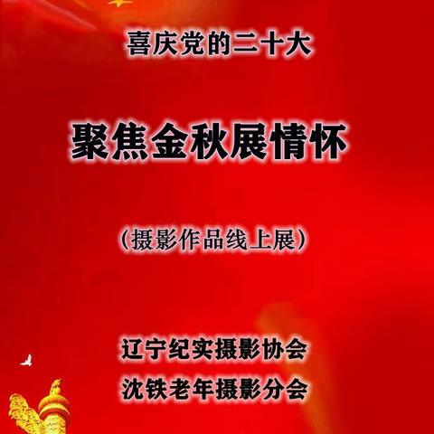 喜庆党的二十大，聚焦金秋展情怀 ——摄影作品线上展