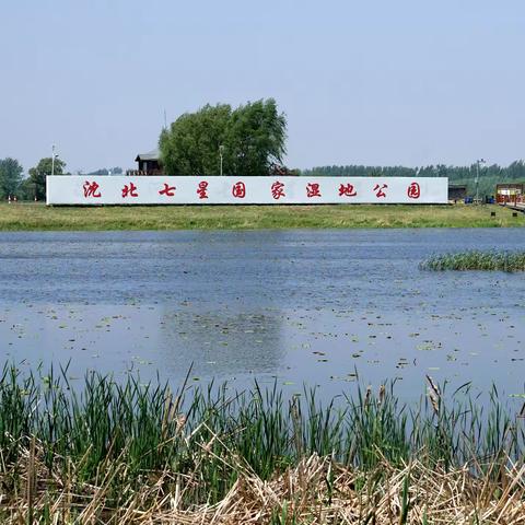 沈北七星国家湿地公园