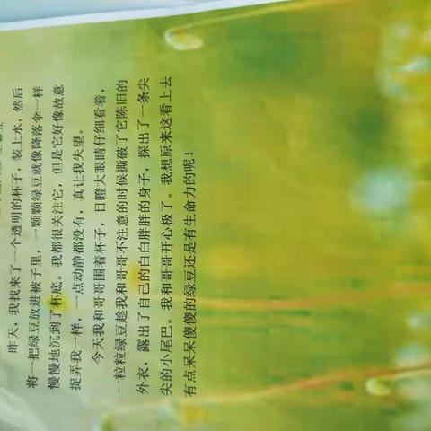 暑假综合实践活动