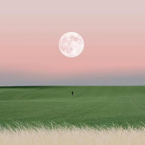 陕西省2023年度苏陕协作乡村振兴科技创新服务能力提升培训精彩瞬间