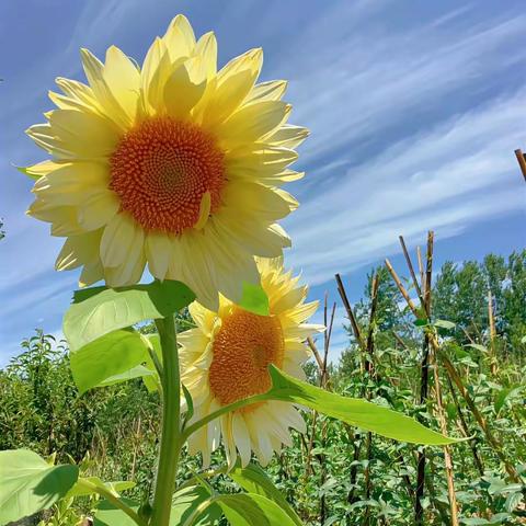 2023年陕西省高素质青年农民培育班精彩瞬间