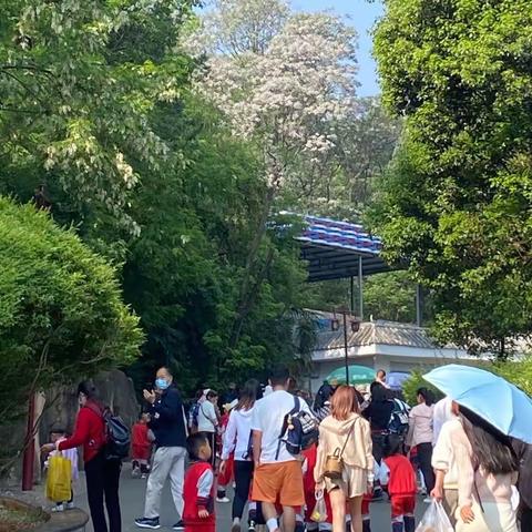 《爱在春天，乐在自然》——云水湾阳光幼儿园春游简报