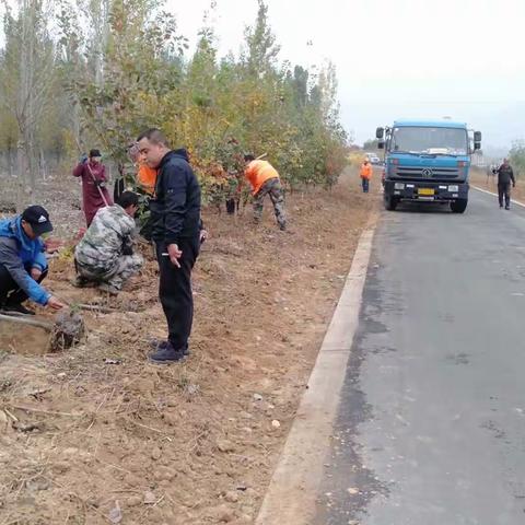 提升道路绿化   扮靓美丽乡村