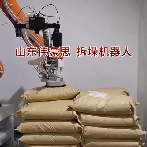 氧化钙全自动拆垛机 拆垛机械手工作实拍