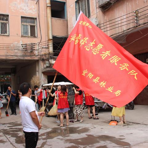 文明始于心，洁净践于行，---宜阳县林业局参加“城市清洁”志愿服务活动