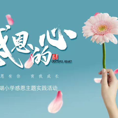 小小感恩心，浓浓感恩情——望湖小学开展感恩主题实践活动
