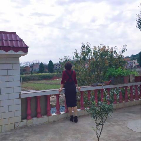 阳春三月故乡行