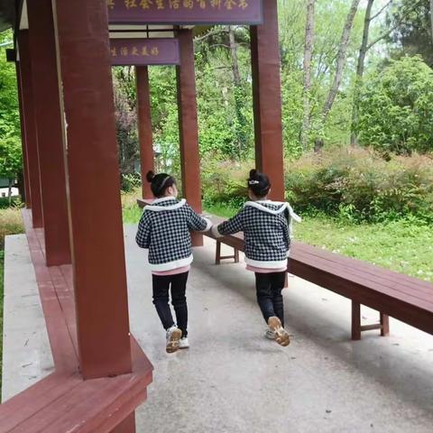   雨后的阳光的美篇清明踏春