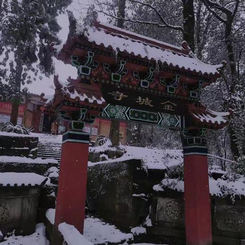 2023年南充的第一场雪