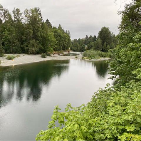 Nanaimo River ——纳奈莫河趣事