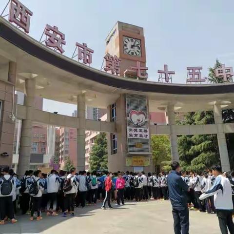 杏花微雨的美篇