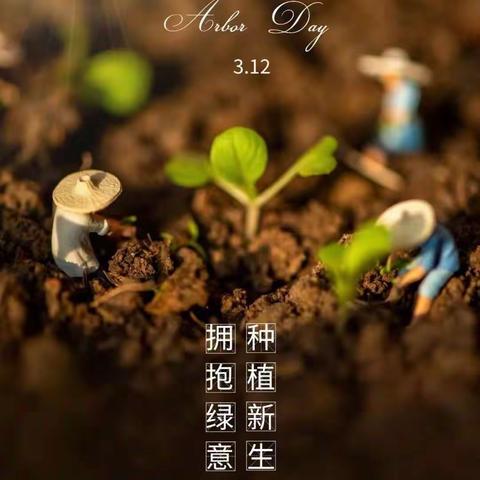 覃塘一中开展“植树护树 ，为校园添绿、护绿”植树节活动