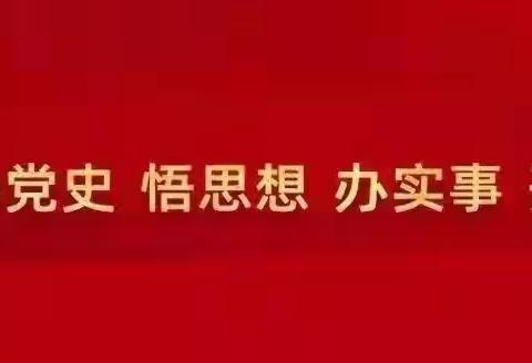 延南街道党工委召开理论学习中心组党史专题学习会