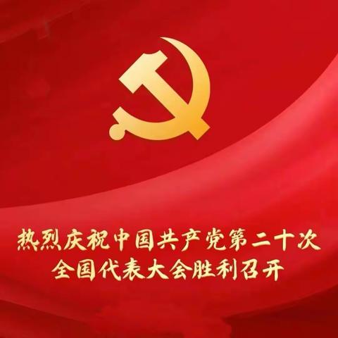 延南街道党工委组织收看党的二十大开幕会