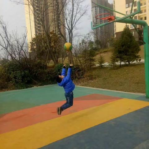 王照楠 在体艺中展现快乐《才艺章》。每天坚持亲子阳光体育健身一小时。