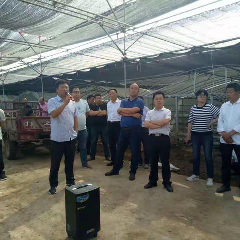 取学两业叠加之经，共举项目带贫之志---记九重镇扶贫干部外出观摩学习