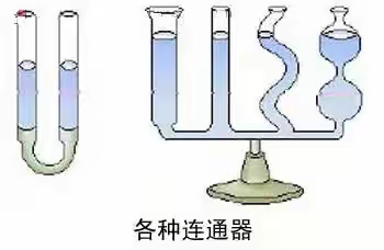 宅家学技能 跟我来实践——小学居家综合实践活动小课堂（二）