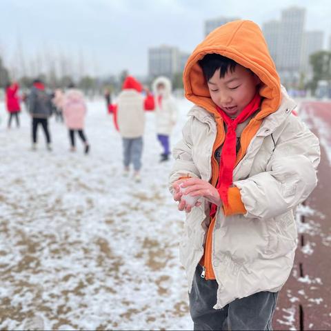 早春，一夜雪的快乐