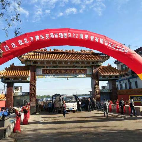 亮中牛市志哥15042001680