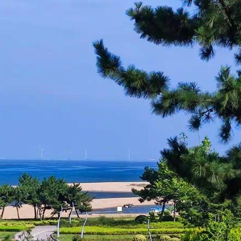 大美荣成自在荣成秀绿色