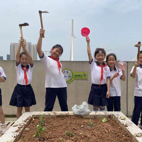 小小“菜农”学种菜，校园种菜的乐趣