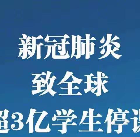 敬畏自然，尊重生命——作者：胡宇畅、李雨泽、边笑然