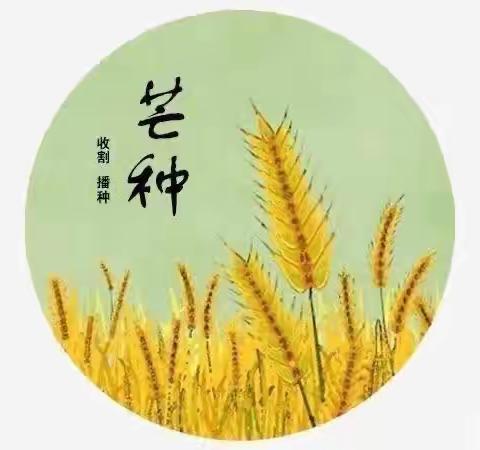 芒种—种下梦想，静待光芒