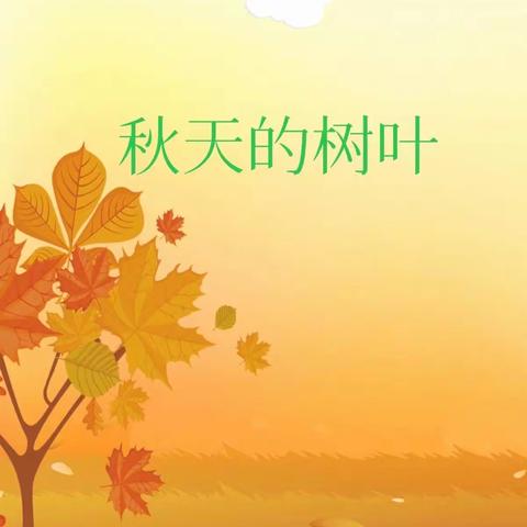 与落叶🍂共舞、树叶有“画”说————嘉应观中心幼儿园
