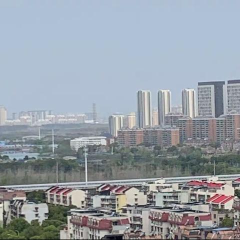 火树银花放异彩   红英白华秀春色