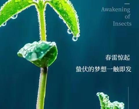 东风梳柳绿     春光染李白