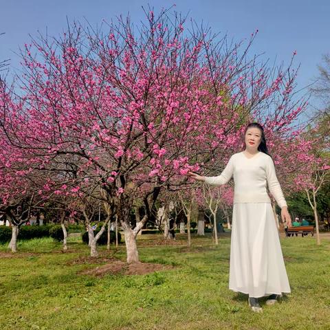 2022.3.28青山和平公园