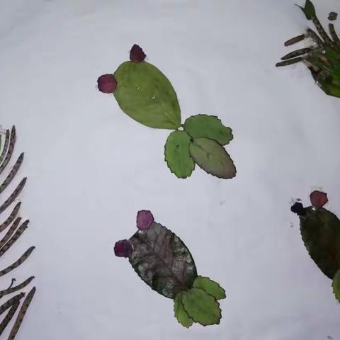 丰富多彩的寒假 作业
