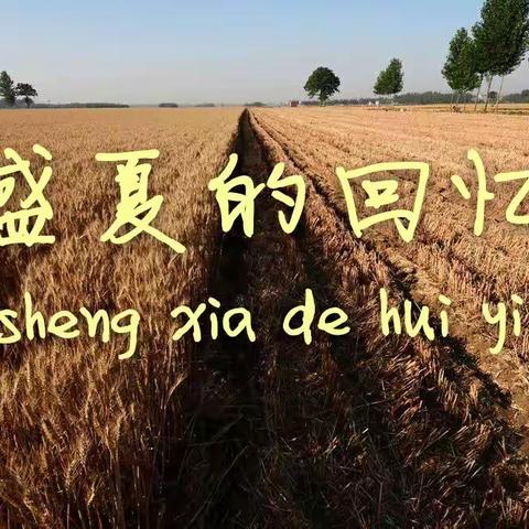 盛夏的回忆