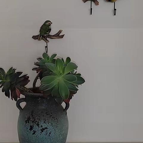 不焦虑的秘诀